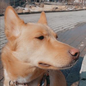 Meet your Posher, Stéphanie